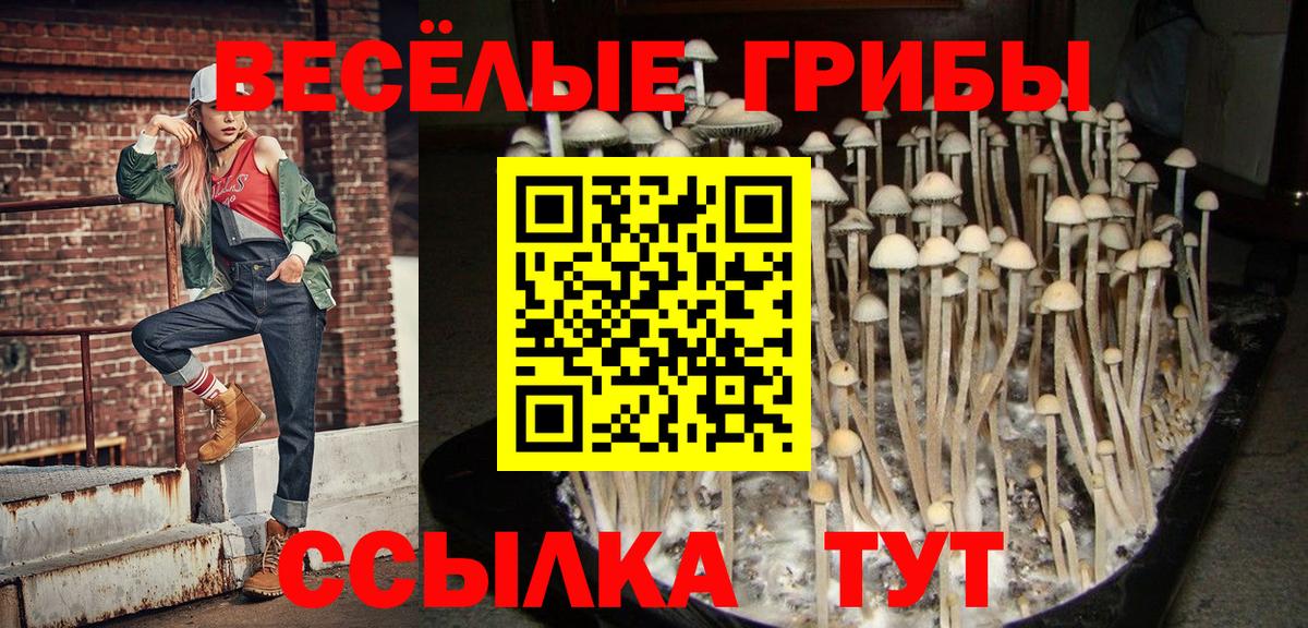 Псилоцибиновые грибы мухоморы Щёлково