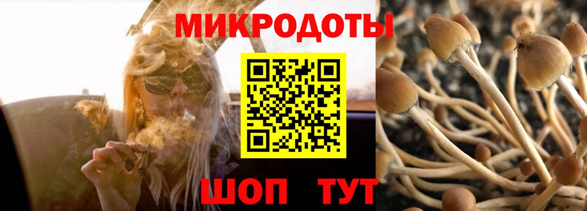 Галлюциногенные грибы MAGIC MUSHROOMS  Галлюциногенные грибы ЛСД  Щёлково  Вход с VPN 