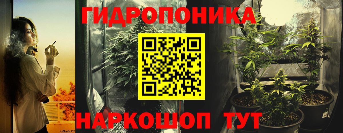 Конопля сатива  Каннабис Bruce Banner  Щёлково  Вход с VPN  МАРИХУАНА сатива 